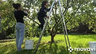 КУДА МЫ ПРОПАЛИ/БЕДНЫЕ НАШИ СОСЕДИ