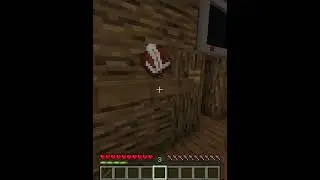 Phen 228 -The Boiled One Phenomenon in Minecraft