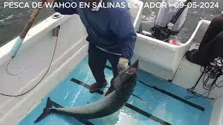 PESCA DE WAHOO 09-05-2024