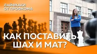Алёна Тризно: Как поставить ШАХ и МАТ / лайфхаки от ПРОФСОЮЗА