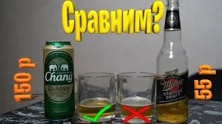 I try beer from Thailand Chang  Comparison with Miller beer