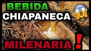 CHAMPAN DE ARBOL DE COYOL Y UNA SUPER CAMINADA AL CERRO PELIGROSO CON SUS MISTERIOS
