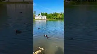 ЦАРСКОЕ СЕЛО#екатериненскийдворец