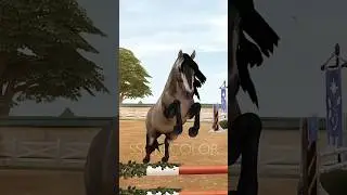 Andalusian Recolor 2 