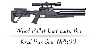 What Pellet best suits the Kral Puncher NP500