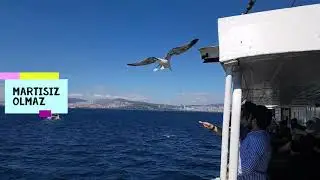 Kabataş Adalar Vapuru
