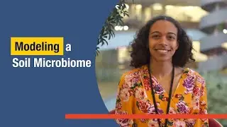 Modeling a Soil Microbiome