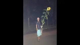You laugh you replay