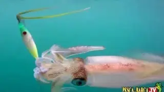 Roberto Melandri spiega COME PESCARE I CALAMARI dalla BARCA