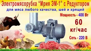 Mriya EM-1 powerful professional meat grinder with gearbox - for processing meat with film and ch...