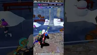 SIWEST КРЫСА 😡😡😡 