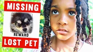 We Lost Our Dog