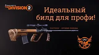 Tom Clancy's The Division 2. Bighorn Sheep. The perfect build for a lone wolf. 