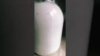 Ось скільки сметани є у моєї кориці