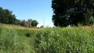 Goodhue ditch, July 24 2010, pt 2/3