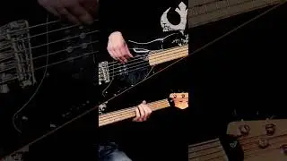 The verse of 'I'm Losing You', as played by Toni Levin! #johnlennon #tonilevin #fingerstylebass