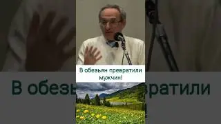 В обезьян превратили мужчин - О.Г. Торсунов