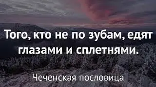 asmr ruscha va uzbekcha aforizmlar