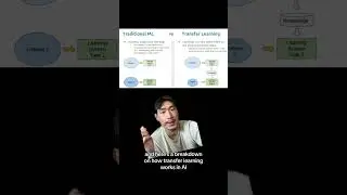 How AI Learns Like Humans: The Power of Transfer Learning