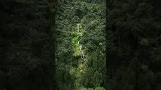 Hidden Waterfall In GUILIN! 🇨🇳