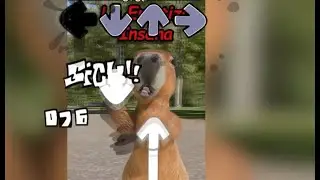Baila Capibara la Emotiza Insana