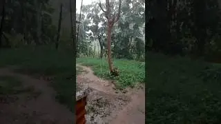 MALAKAS PADIN ANG ULAN  ILOCOS NORTE