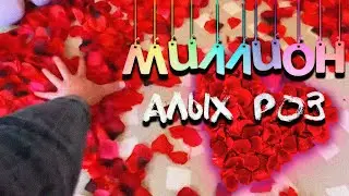 Влог| Миллион алых роз!
