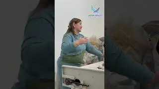 22 января 2024 г.