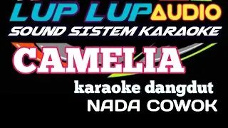 CAMELIA KARAOKE DANGDUT LAWAS NADA PRIA
