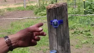 Something Cool I Found For My Electric Fence Use For It Horses And Bees Yards ( June 2021 )
