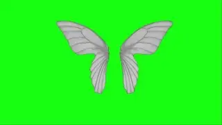 Fairy Wings Moving green screen