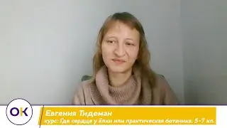 Евгения Тидеман: Где сердце у ёлки или практическая ботаника. 5-7 кл.