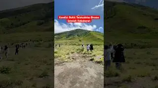 Kondisi Bukit Teletubbies setelah Kebakaran di Bromo