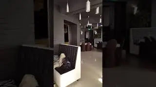 Интерьер садко
