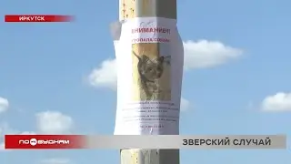 В Иркутске убитую домашнюю собаку хозяева нашли рядом с объявлением о пропаже пса