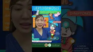 LEPTOSPIROSIS nakamamatay? nakukuha sa baha?