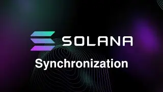 2. Solana Synchronization. Solana Documentation. Learn How Solana Works