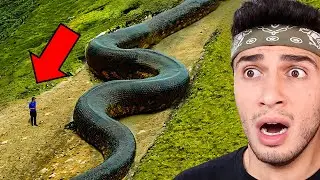 DÜNYANIN EN ÇILGIN KEŞİFLERİ! (OHA)