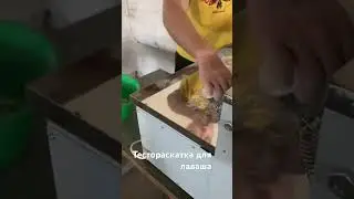 Тестораскатка. #лавашдляшаурмы