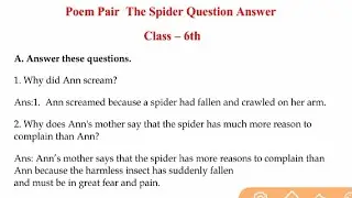 Poem Pair Question Answer The Spider The Magic Carpet Class 6th English