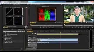 Premiere Pro: Remove Moire with Digital Anarchy Beauty Box