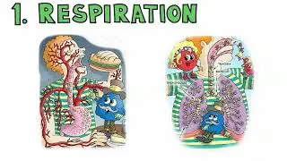 Living Things | ScienceWithMe! | Having fun doing science together.