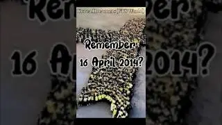 9th Anniversary The Sewol Ferry Tragedy🎗Remember 16th April 2014💔*Read Destination* #btsspringday