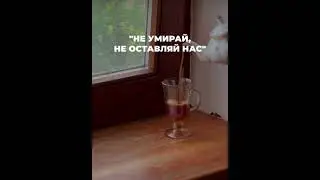 Скрытые виды ширка