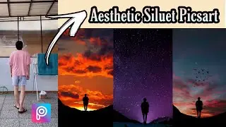 Cara Edit Siluet Aesthetic di Picsart