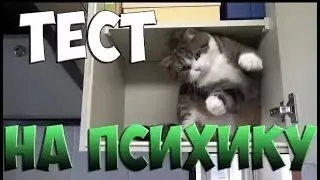 тест на психику (с моим лицом) я настроил веб-камеру.