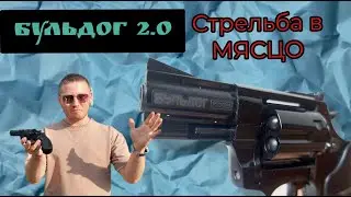 Бульдог от КУРС! Стреляет резиной #бульдог #ксои #airsoft #новости #казань #страйкбол #new #новое