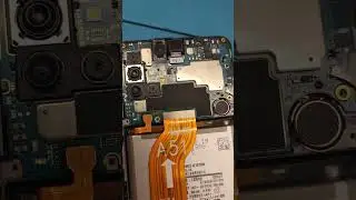 Samsung потерял зарядку. А если найду?
