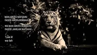 Status WA | WA Story Macan Putih