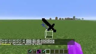 Minecraft Resource Packs Item Tints and Custom Item Textures (1.21.4+)